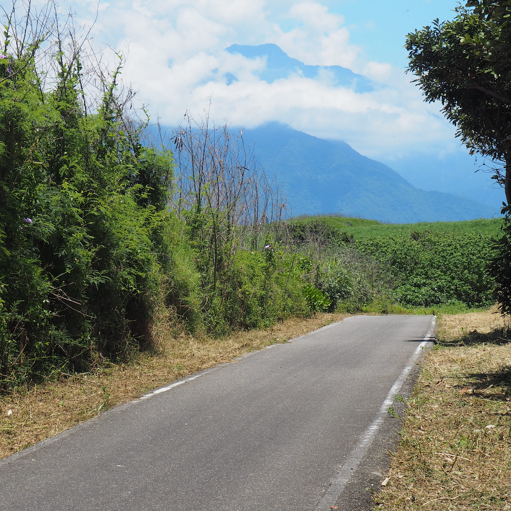 screenshot 2025 11 19 at 1.15.44 pm