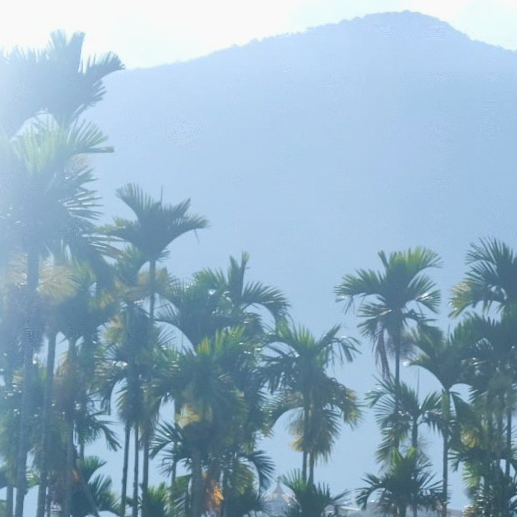 screenshot 2025 11 19 at 1.19.54 pm